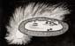 The Sun under the earthplate